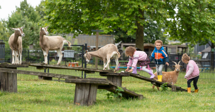 bedrijfs reportage almere