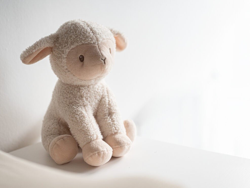 slaapcoach Lelystad beeldbank website